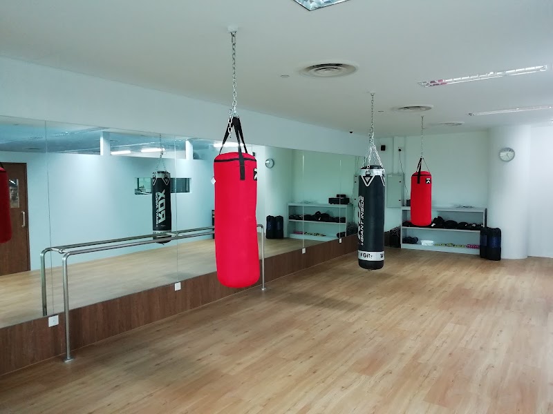 Absolute Fitness Gym photo 1