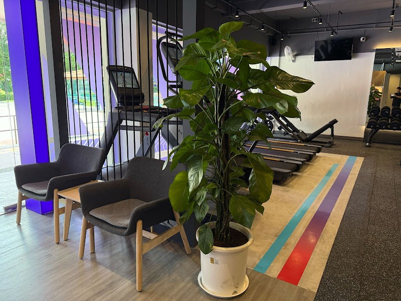 Anytime Fitness Clementi 354 photo 2