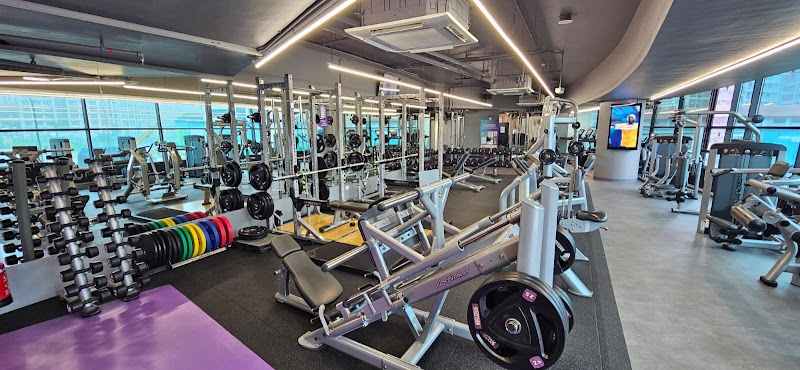 Anytime Fitness Marymount CC photo 2