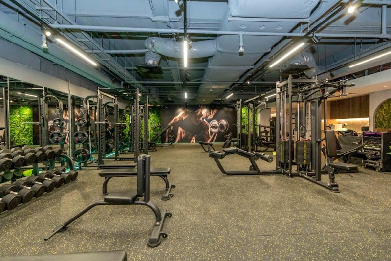 Avante Gym & Yoga photo 3