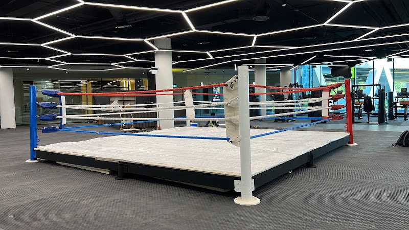 The Ring Boxing Community CCK photo 1