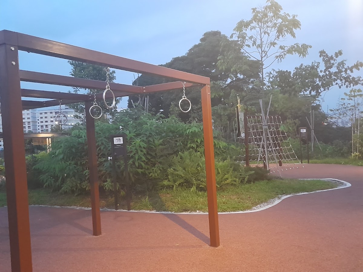 Forest Gym
