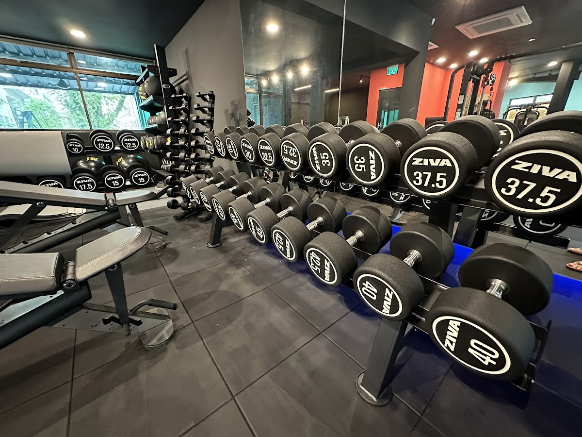 GoFit Great World