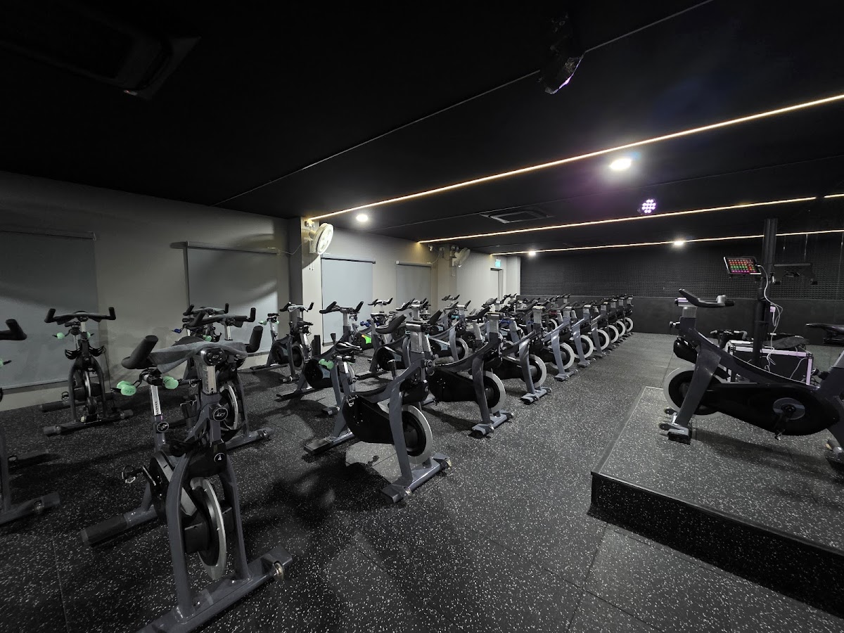 SALT Fitness