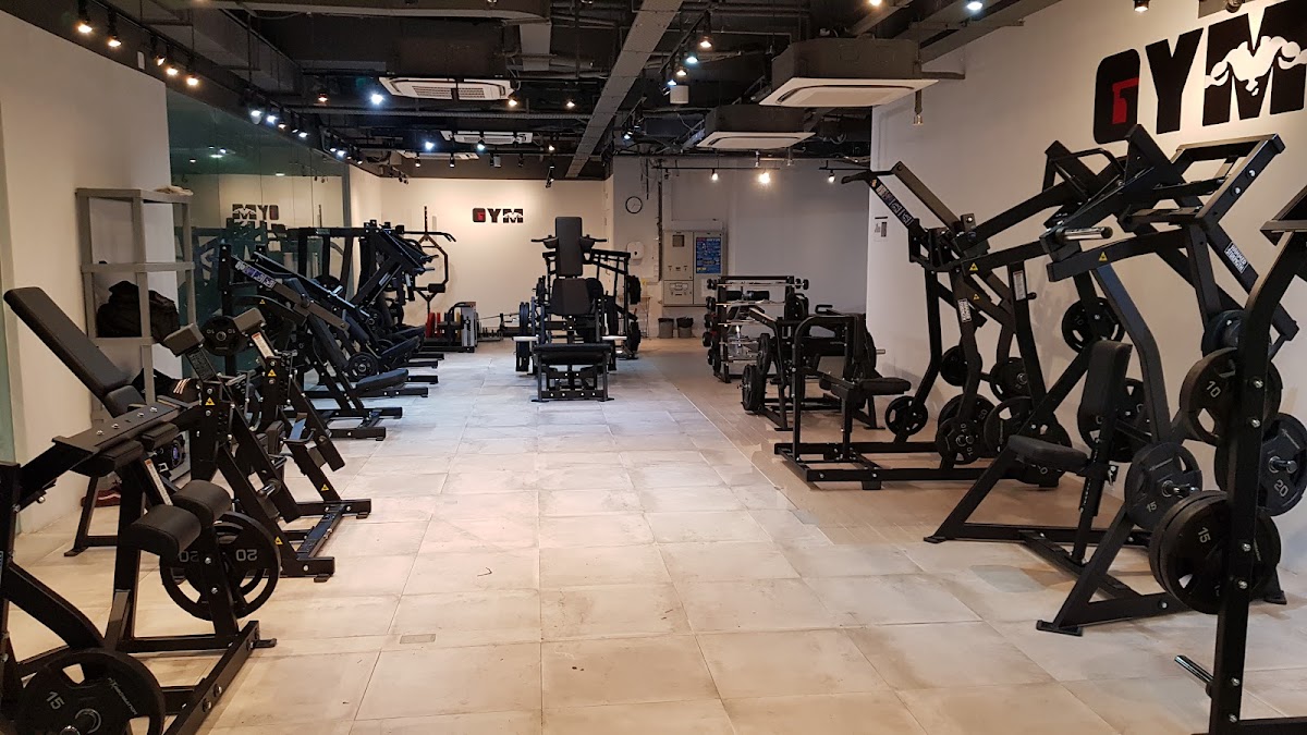 THE GYM