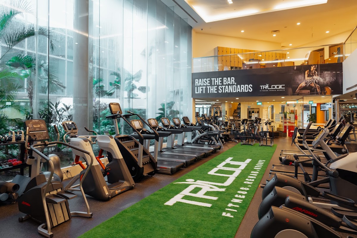 Climbing Gyms & Bouldering in Novena 2026